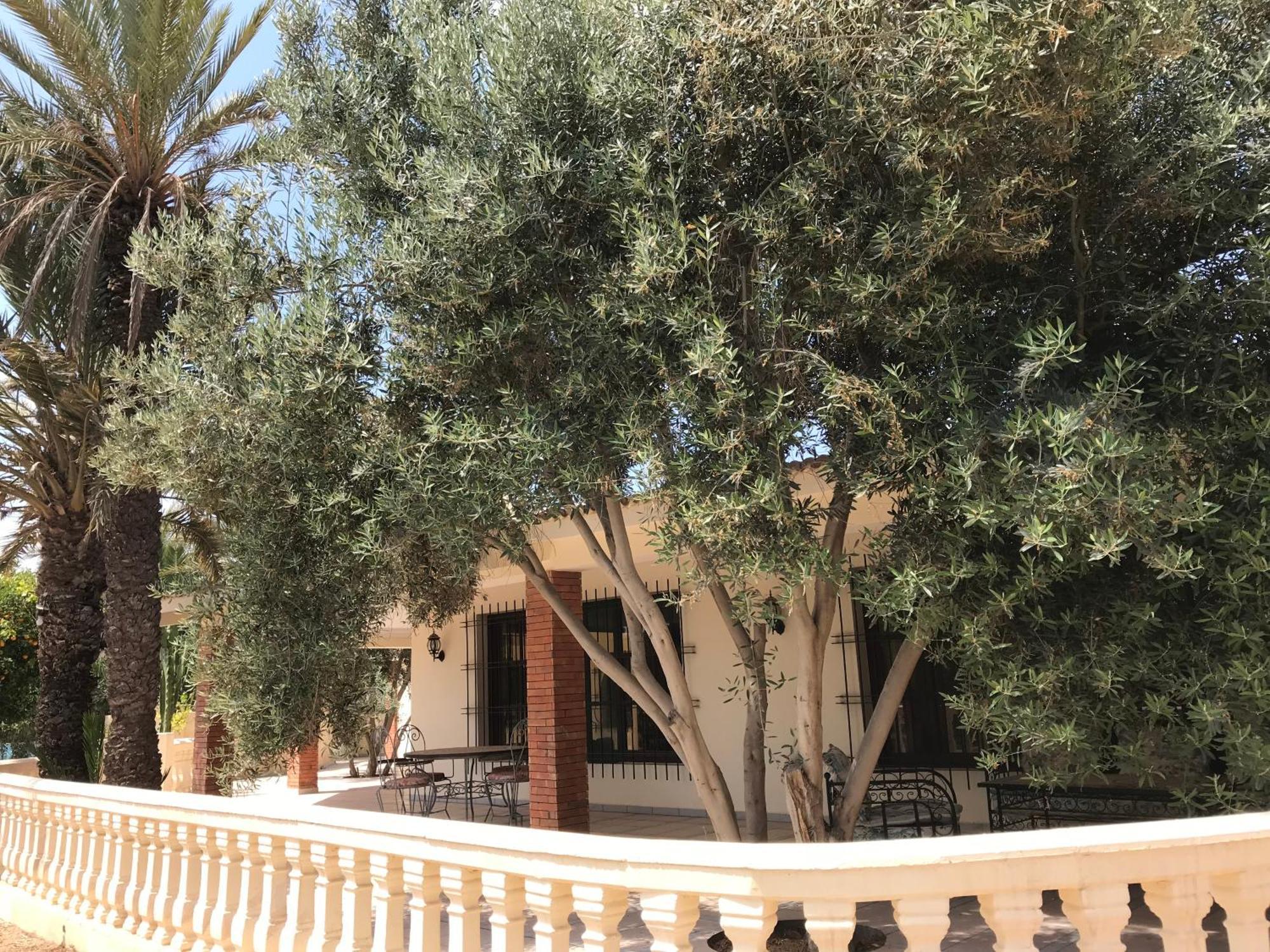 Tiguimi Vacances - Oasis Villas, Cadre Naturel Et Vue Montagne Agadir Ngoại thất bức ảnh