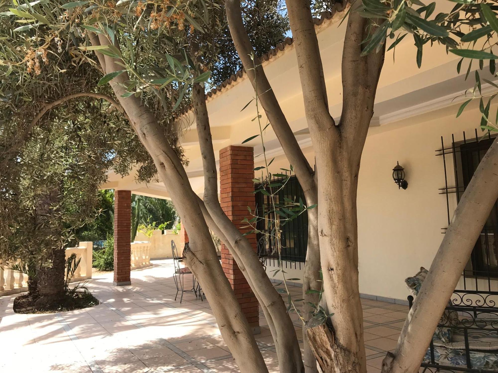 Tiguimi Vacances - Oasis Villas, Cadre Naturel Et Vue Montagne Agadir Ngoại thất bức ảnh