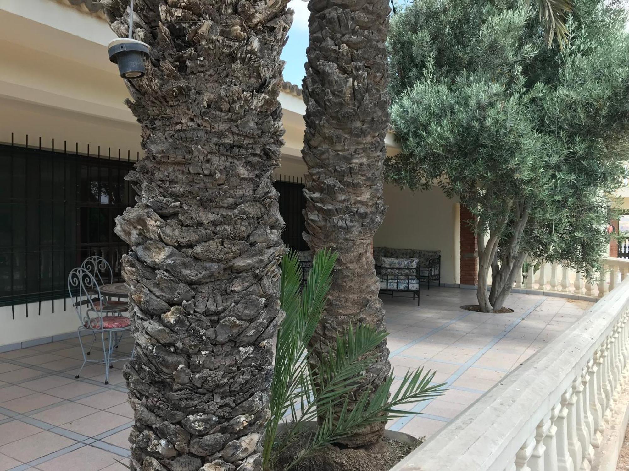 Tiguimi Vacances - Oasis Villas, Cadre Naturel Et Vue Montagne Agadir Ngoại thất bức ảnh