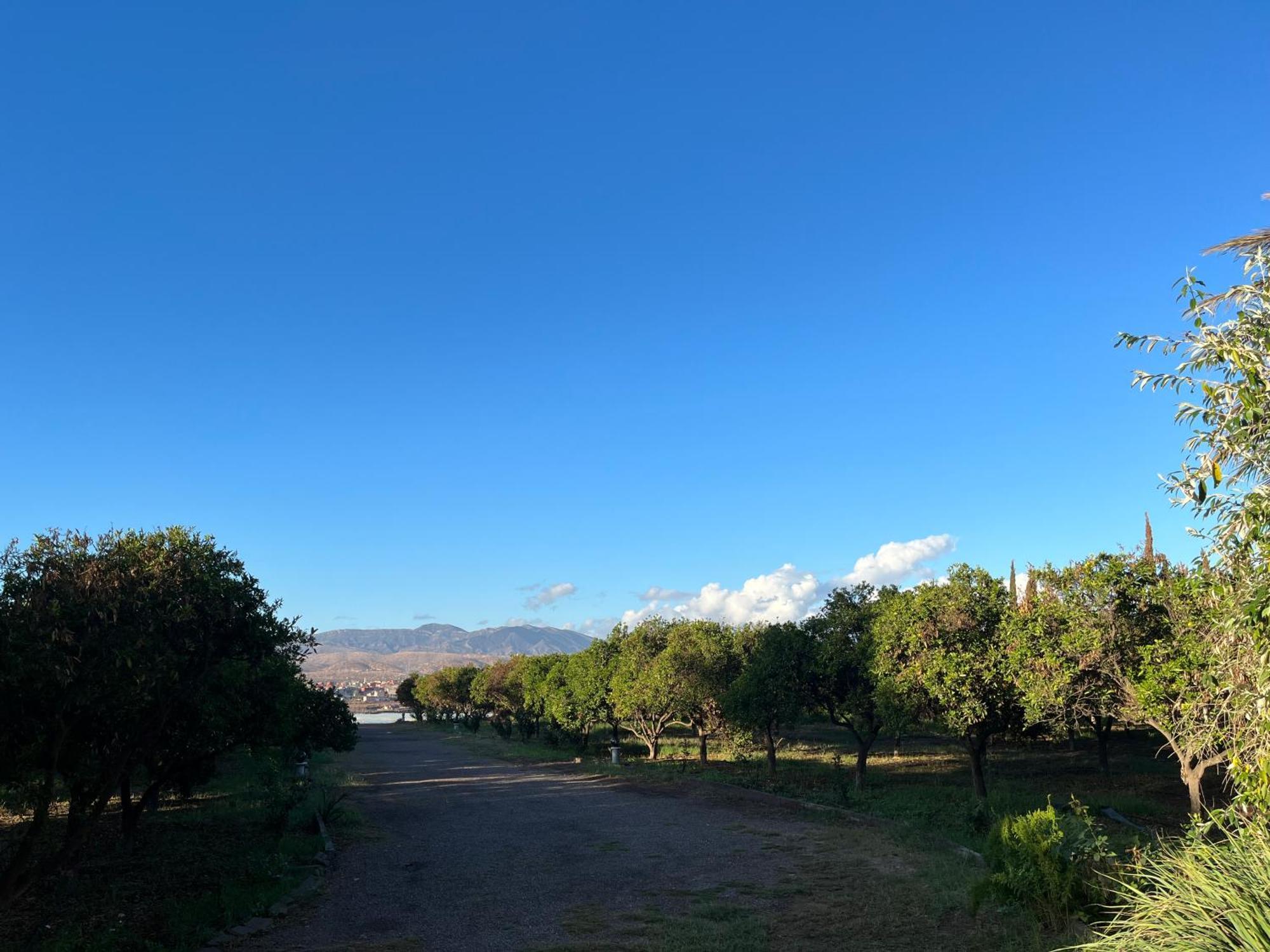 Tiguimi Vacances - Oasis Villas, Cadre Naturel Et Vue Montagne Agadir Ngoại thất bức ảnh