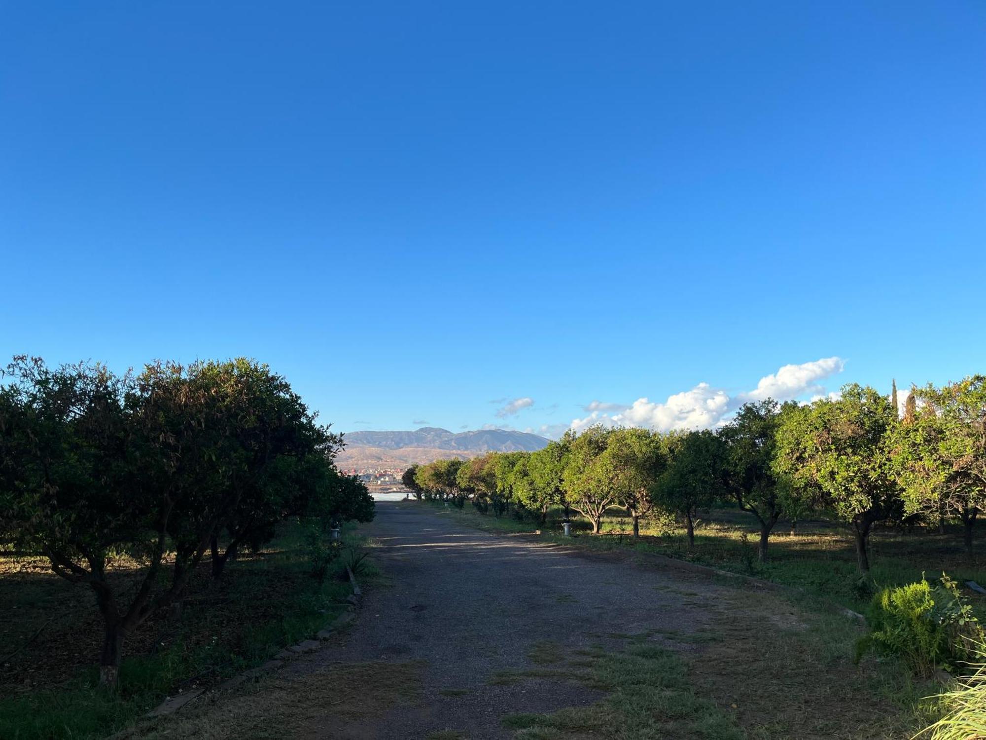 Tiguimi Vacances - Oasis Villas, Cadre Naturel Et Vue Montagne Agadir Ngoại thất bức ảnh