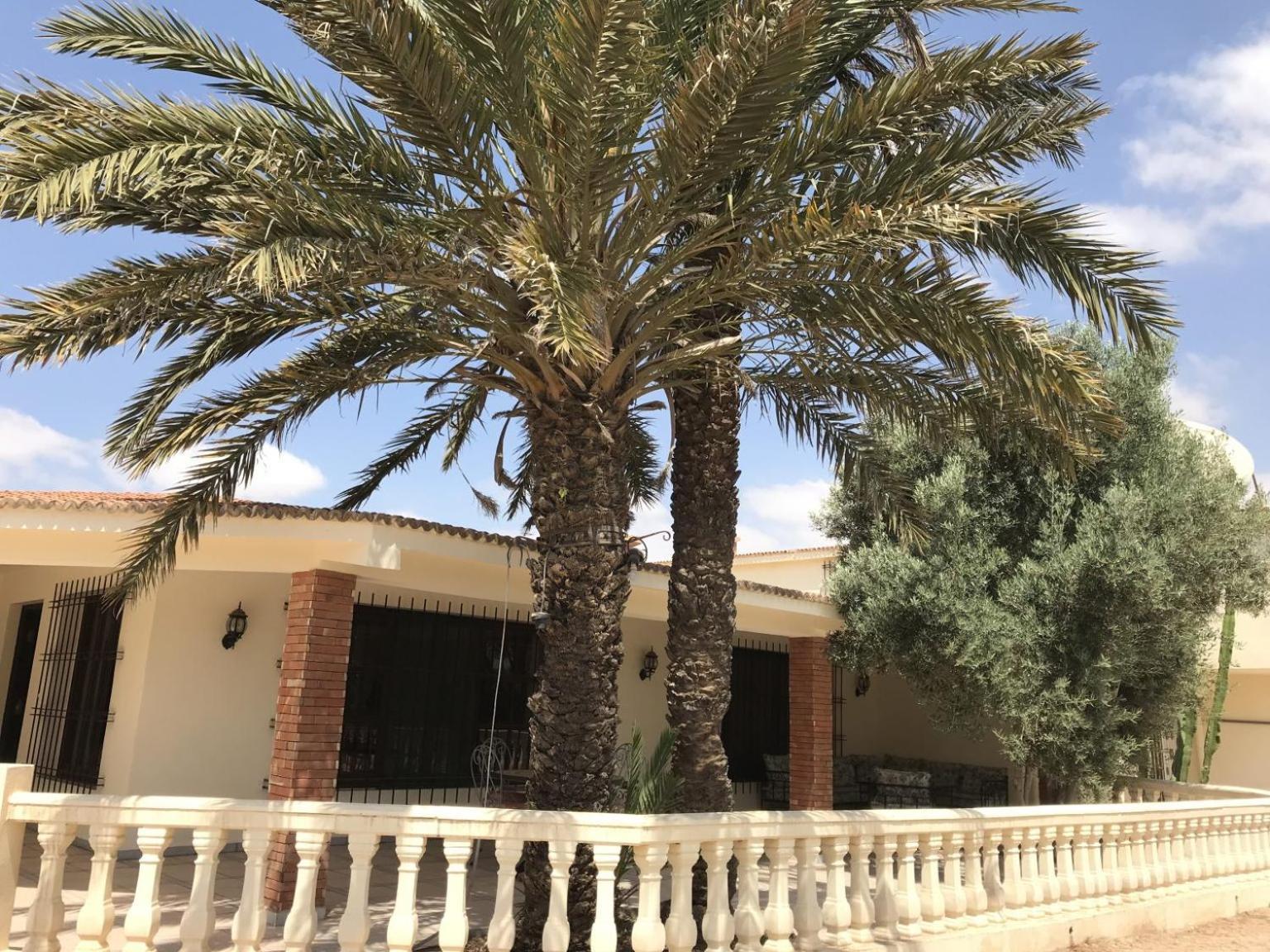 Tiguimi Vacances - Oasis Villas, Cadre Naturel Et Vue Montagne Agadir Ngoại thất bức ảnh